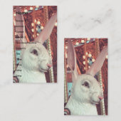 Carte De Visite Joyeux lapin (Devant / Derrière)