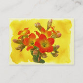 Carte De Visite Kalanchoe rouge - Soleil Succulent (Dos)