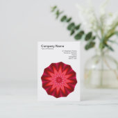 Carte De Visite Kaleidoscopic 260614(3) (Debout devant)