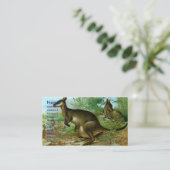 Carte De Visite Kangourou (Debout devant)
