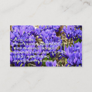 Carte De Visite Katherine Hodgkin Irises Printemps Violet Floral