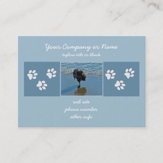 Carte De Visite Keeshond Ballet Photographie - Joli chien d'origin (Devant)