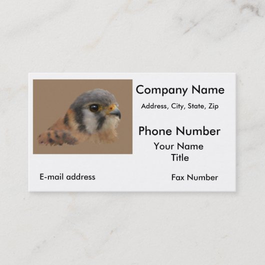 Carte De Visite Kestrel américain (Devant)