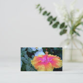 Carte De Visite ketmie (Debout devant)