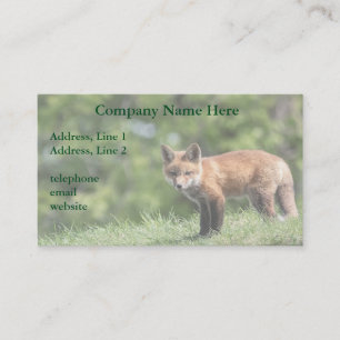 Carte De Visite Kit de Fox rouge