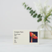 Carte De Visite Kite de Dragon Rouge (Debout devant)