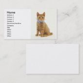 Carte De Visite Kitten (Devant / Derrière)