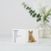 Carte De Visite Kitten (Debout devant)