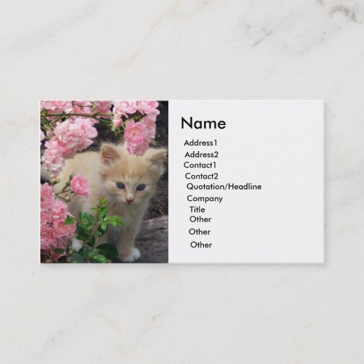 Carte De Visite Kitten blanc et Brown (Devant)