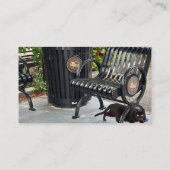 Carte De Visite Kitty dans le parc (Dos)