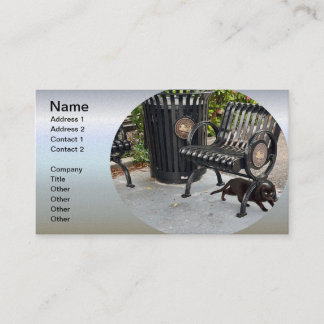 Carte De Visite Kitty dans le parc