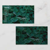 Carte De Visite Kudzu (Devant / Derrière)