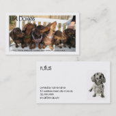 Carte De Visite L.A.Doxies [Rufus] (Devant / Derrière)