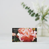 Carte De Visite La chambre Rose d'Ann (Debout devant)