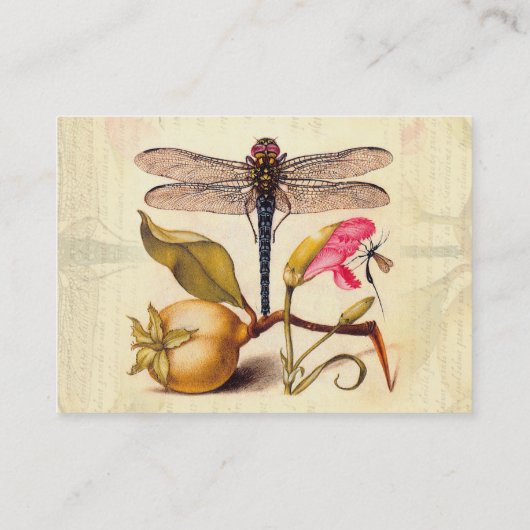 Carte De Visite La faune de la libellule (Dos)