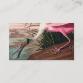 Carte De Visite La faune des oiseaux d'Audubon de Spoonbill Roseat (Dos)