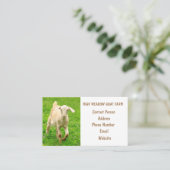 Carte De Visite La ferme aux chèvres (Debout devant)