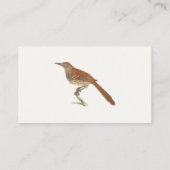 Carte De Visite La Grive Brown ou le Trasher Brown, New York Birds (Dos)