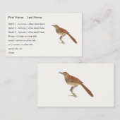 Carte De Visite La Grive Brown ou le Trasher Brown, New York Birds (Devant / Derrière)