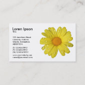 Carte De Visite La marguerite jaune dans la pluie (Dos)