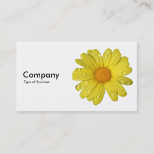 Carte De Visite La marguerite jaune dans la pluie