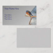Carte De Visite La nature des oiseaux bleus (Devant / Derrière)