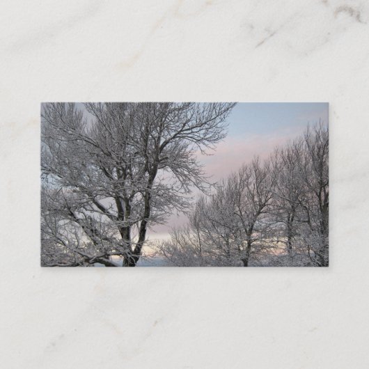 Carte De Visite La neige a couvert des branches (Devant)
