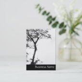 Carte De Visite La photographie de Zen Tree Balance l (Debout devant)