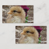 Carte De Visite La poule dans le jardin (Devant / Derrière)