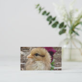 Carte De Visite La poule dans le jardin (Debout devant)