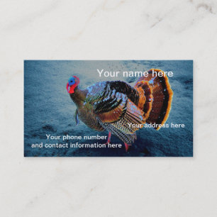 Carte De Visite La Turquie dans la neige 3