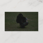 Carte De Visite La Turquie sauvage orientale (Dos)