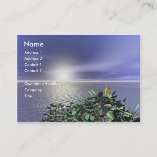 Carte De Visite La vue élevée de l'oiseau (Devant)