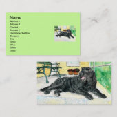 Carte De Visite Labradoodle noir (Devant / Derrière)