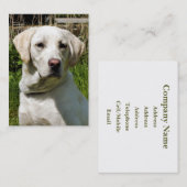 CARTE DE VISITE LABRADOR DOG (Devant / Derrière)