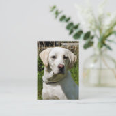 CARTE DE VISITE LABRADOR DOG (Debout devant)