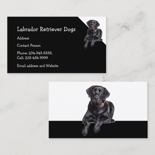 Carte De Visite Labrador Retriever Chiens éleveur Animaux de compa (Devant / Derrière)