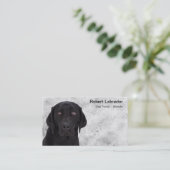 Carte De Visite Labrador retriever noir (Debout devant)