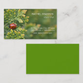 Carte De Visite Ladybug (Devant / Derrière)