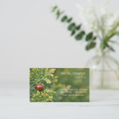 Carte De Visite Ladybug (Debout devant)