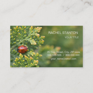 Carte De Visite Ladybug