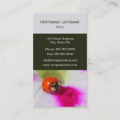 Carte De Visite Ladybug (Dos)