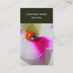 Carte De Visite Ladybug