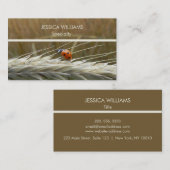 Carte De Visite Ladybug sur le blé (Devant / Derrière)