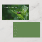 Carte De Visite Ladybug sur un Rose de Sharon Floral Beetle (Devant / Derrière)