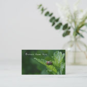 Carte De Visite Ladybug sur un Rose de Sharon Floral Beetle (Debout devant)