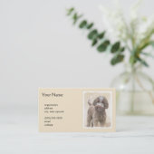 Carte De Visite Lagotto Romagnolo Peinture - Cute Original Chien A (Debout devant)