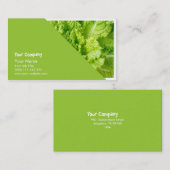 Carte De Visite Laitue (Devant / Derrière)