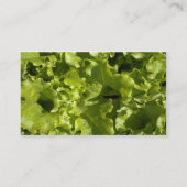Carte De Visite Laitue verte (Dos)