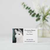Carte De Visite Lama blanc (Debout devant)